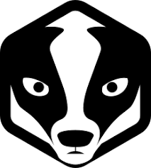 pgBadger