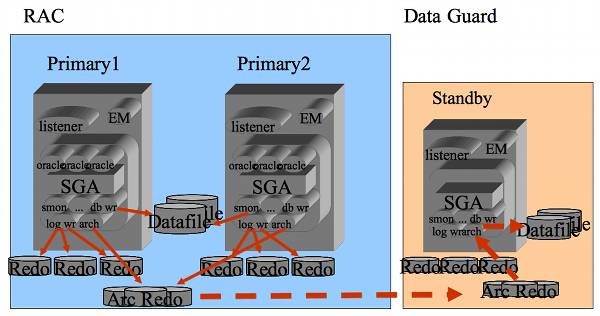 Architettura Oracle RAC e Data Guard