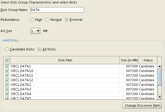 Installazione Oracle Grid 11g R2 - Disk e Disk Group