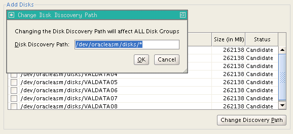 Installazione Oracle Grid 11g R2 - Change Path