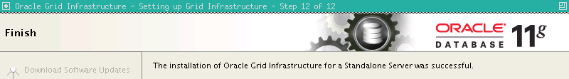 Installazione Oracle Grid 11g R2 - The End