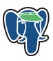 pgAudit logo